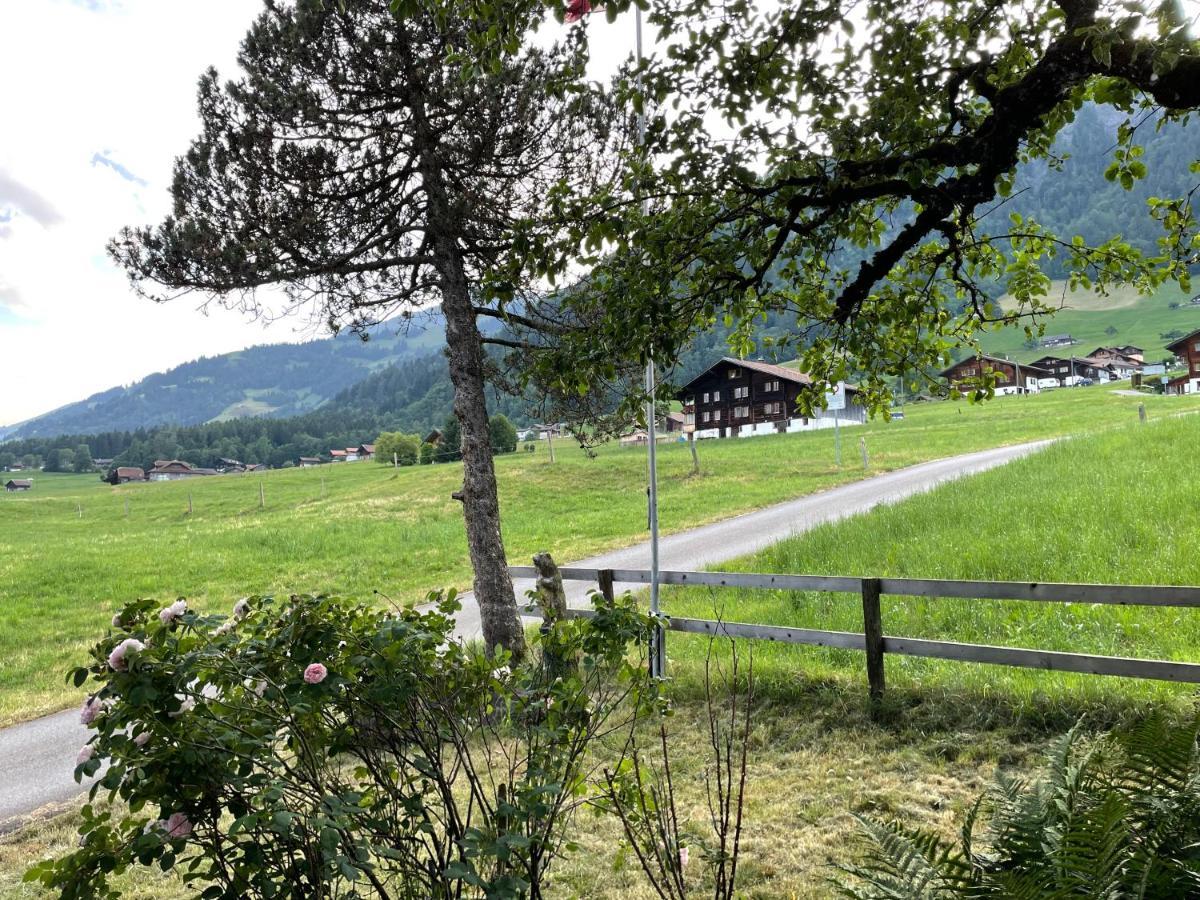 Edelweiss 4 Zi Ferienwohnung In Landhaus Frutigen Luaran gambar